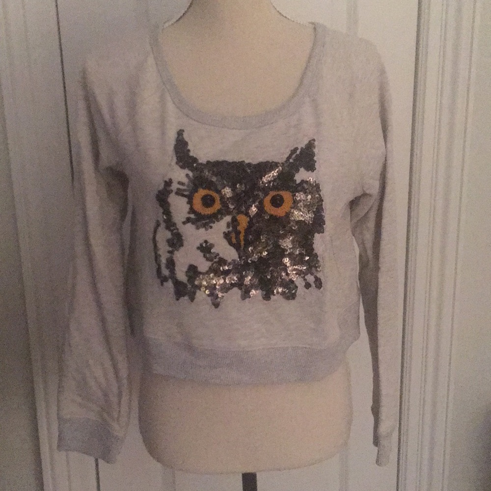 Express Owl Cropped Sweater (Size M)